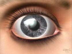 design133 800