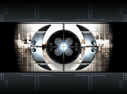 design19 800