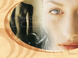 design20 800