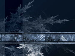 design23 800