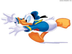 Disney13