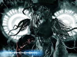 Kreed