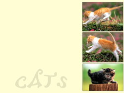 Chatons26