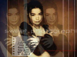 Bjork12