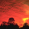 ciel12