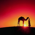 deserts 004