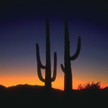 deserts 006