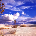 deserts 008