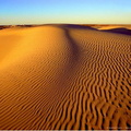 deserts 009