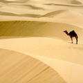 deserts 010