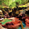 forets 017