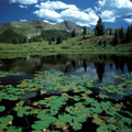 lacs 003