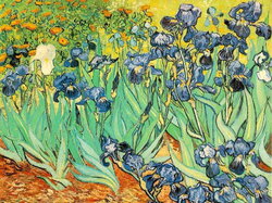 Vangogh01