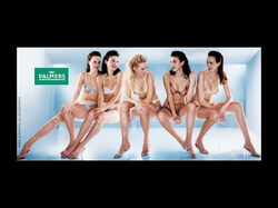 Palmers01