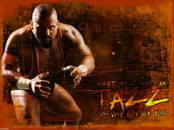tazzwalltp4grande