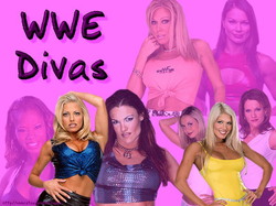 wwedivaswall