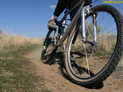 VelMot02