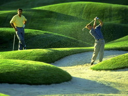 golf03