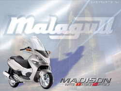 malaguti02