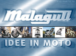 malaguti05