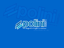 polini01