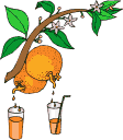 aliments-et-boissons182