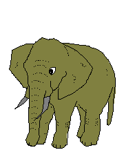 animaux836
