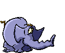 animaux851