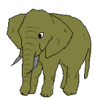 animaux860