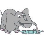 animaux864