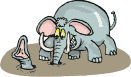 animaux873