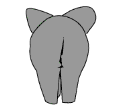 animaux874