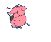 animaux883