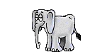 animaux889