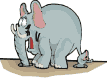 animaux893