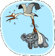 animaux894
