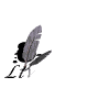 livreDorWHT